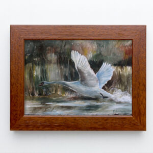 Greta's Farewell is a watercolor painting of a beautiful swan by SurrealVerve Saskatoon